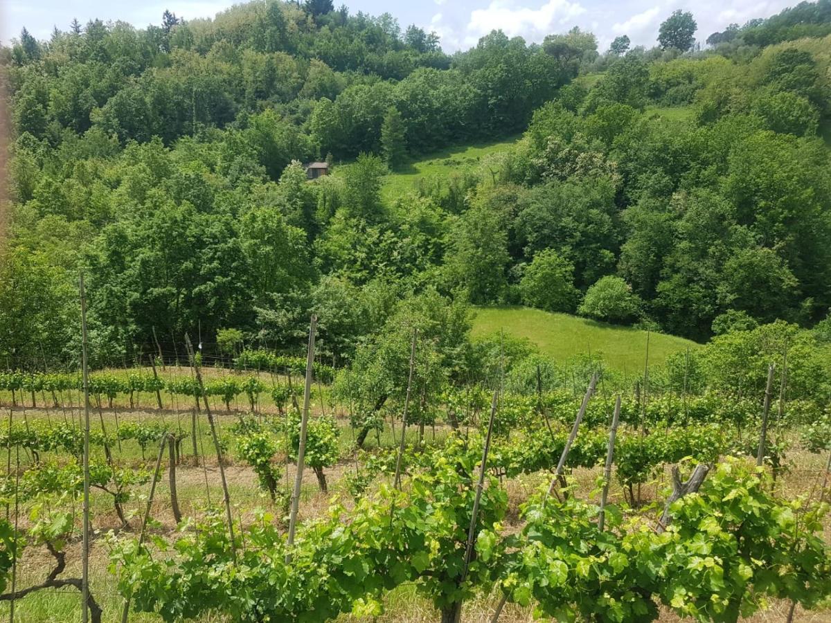 Villa Casa Del'Orto Bigliolo Esterno foto
